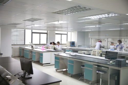 金域检验 以一流技术与优质服务塑造新型医疗品牌的人工智能应用软件开发实践